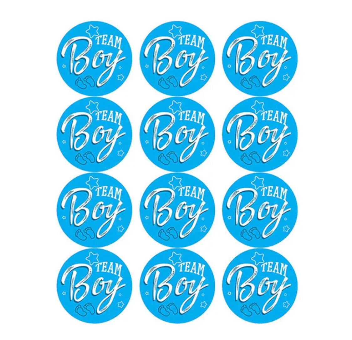 Gender Reveal Stickers for Boys & Girls – 24-Pack