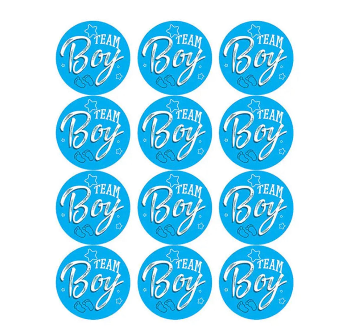 24 pieces gender reveal stickers boy & girl