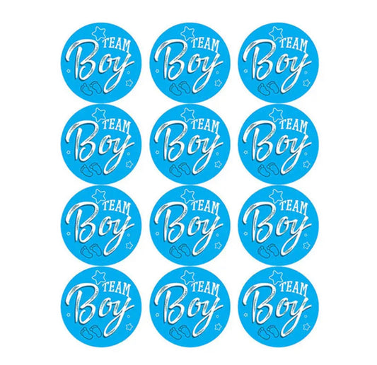 24 pieces gender reveal stickers boy & girl