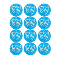  Gender Reveal Stickers for Boys & Girls – 24-Pack